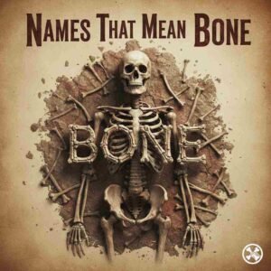 Names That Mean Bone