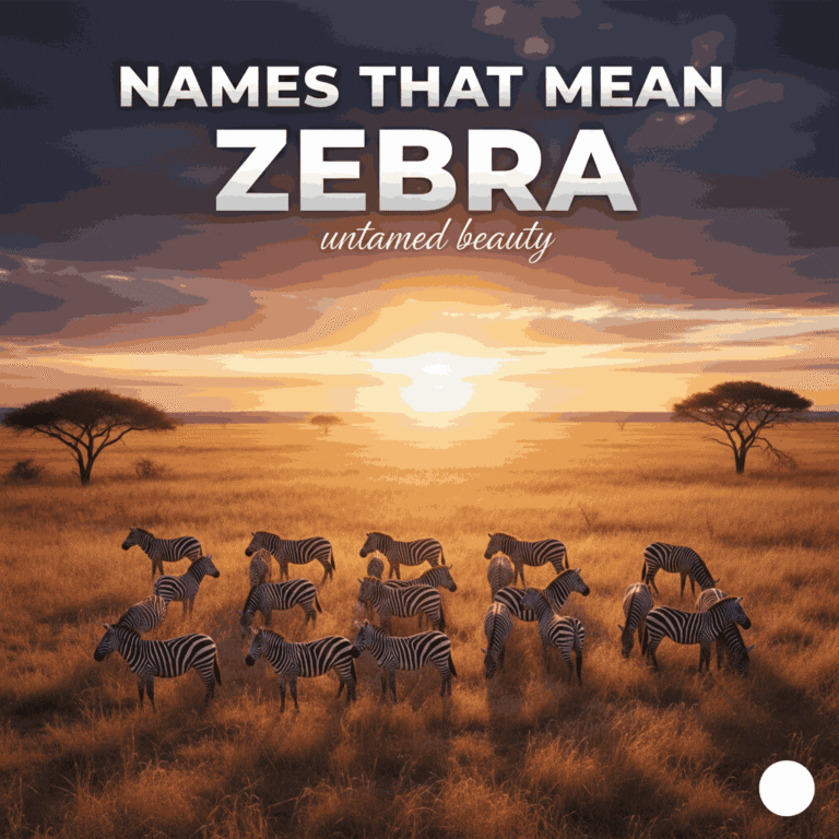 Names That Mean Zebra