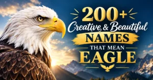 200+ Creative & Beautiful Names That Mean Eagle