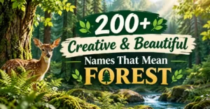 200+ Creative & Beautiful Names That Mean Forest
